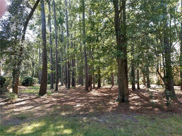 Listing photo 3 for 4 Millbrook Cir, Okatie SC 29909