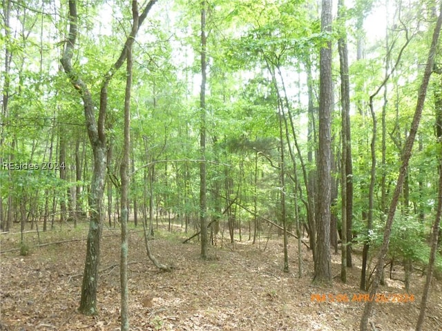 Listing photo 2 for LOT8BLOCK15 Colleen Pt, Mccormick SC 29835