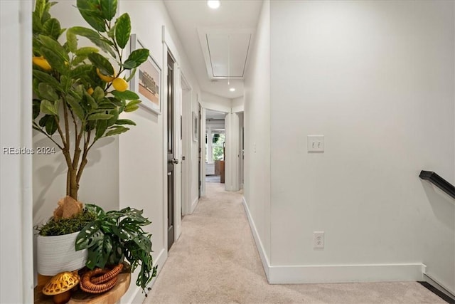 hallway with light colored carpet