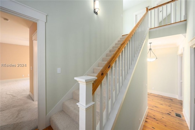 stairway featuring carpet flooring