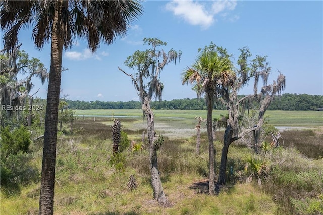 view of local wilderness featuring a rural view