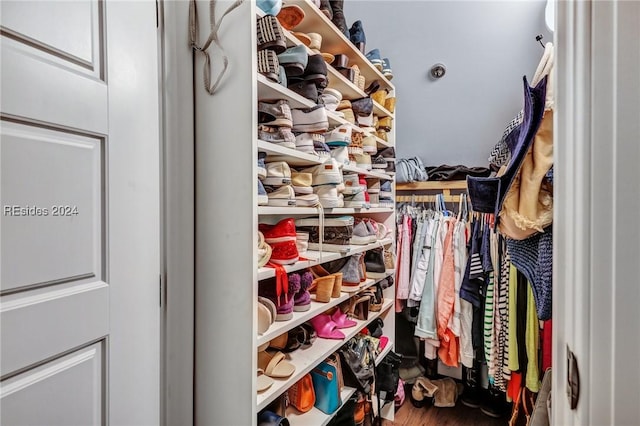 view of spacious closet