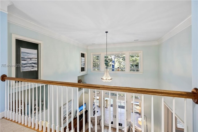 corridor featuring crown molding and carpet flooring