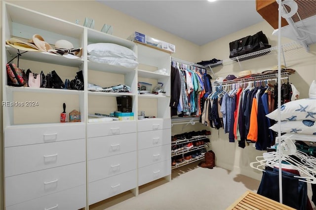 walk in closet with carpet