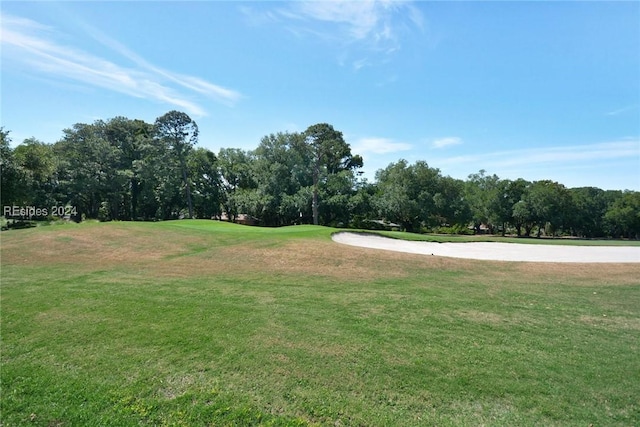 view of community with a yard