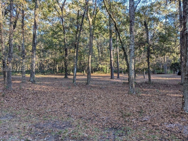 16 Masters Dr, Daufuskie Island SC, 29915 land for sale