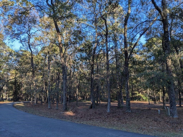 Listing photo 3 for 16 Masters Dr, Daufuskie Island SC 29915