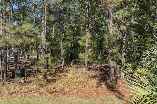 Listing photo 3 for 7 Cassique Ln, Okatie SC 29909