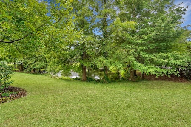 view of yard with a water view