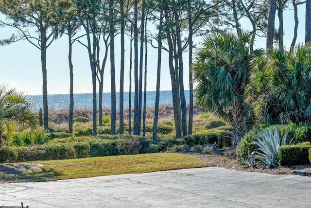 surrounding community featuring a water view and a lawn