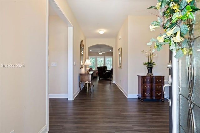 entrance foyer featuring dark hardwood / wood-style floors