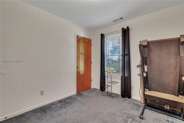 workout room with a textured ceiling and carpet flooring