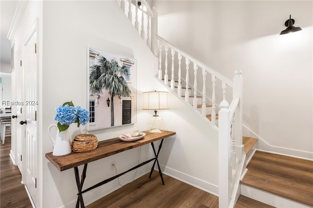 staircase with wood-type flooring