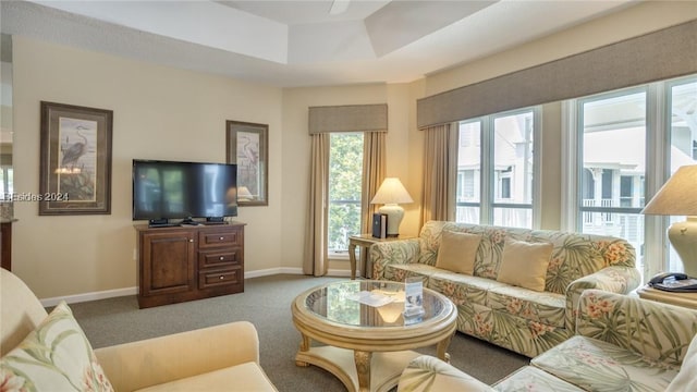 carpeted living room with a tray ceiling