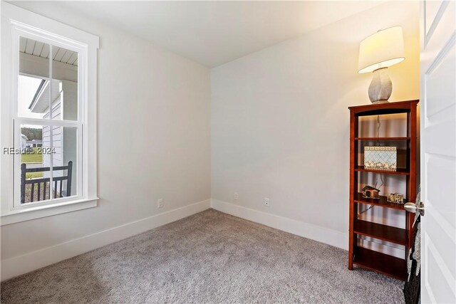 spare room with light colored carpet