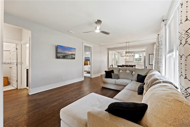 living room with ceiling fan with notable chandelier and dark hardwood / wood-style flooring