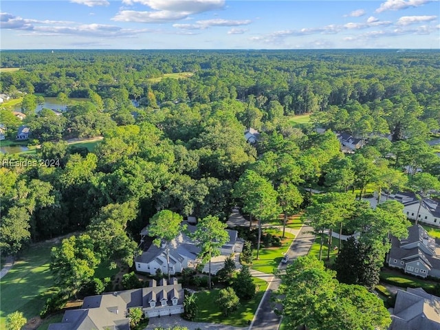 aerial view