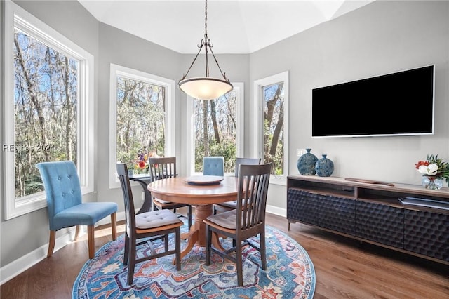 dining room featuring wood-type flooring and a wealth of natural light