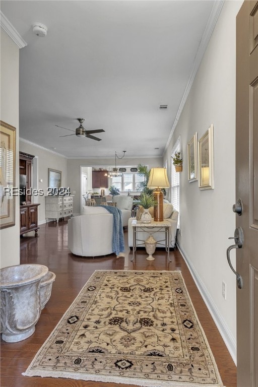 living room featuring crown molding, dark wood-type flooring, and ceiling fan