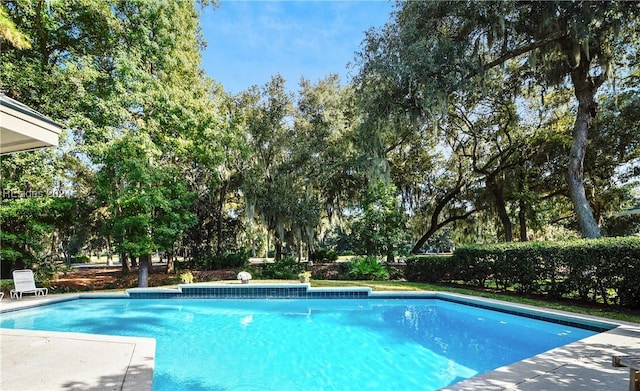 view of swimming pool