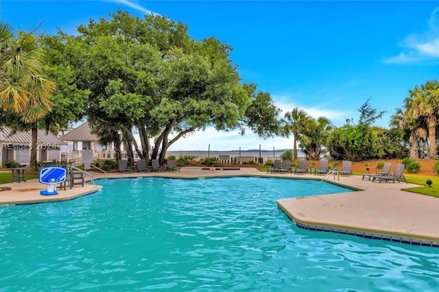 view of swimming pool featuring a patio