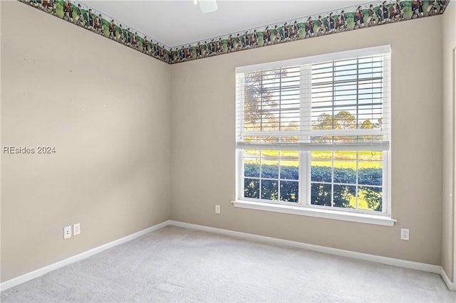 unfurnished room featuring carpet