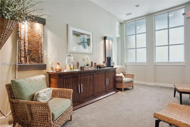 sitting room with light colored carpet