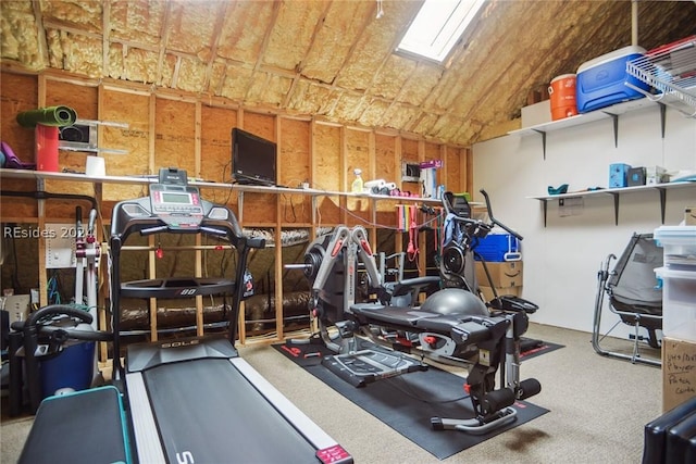 workout area featuring carpet floors and vaulted ceiling