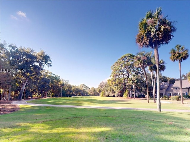 view of community featuring a yard