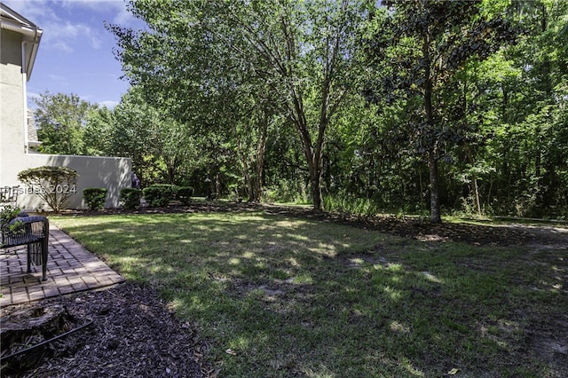 view of yard with a patio area