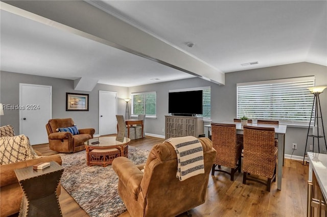 living room featuring a wealth of natural light and light wood-type flooring