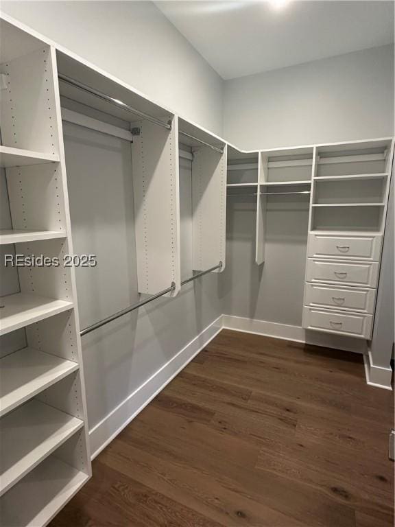 walk in closet with dark wood-type flooring