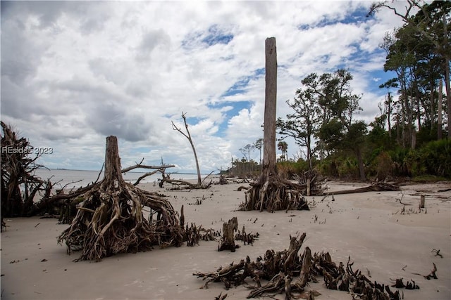 Listing photo 3 for 524 Driftwood Cottage Ln, Daufuskie Island SC 29915