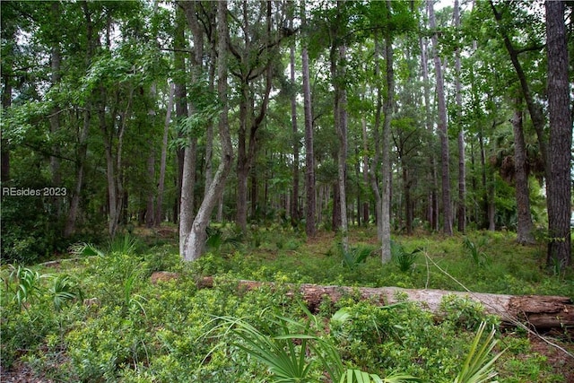 524 Driftwood Cottage Ln, Daufuskie Island SC, 29915 land for sale