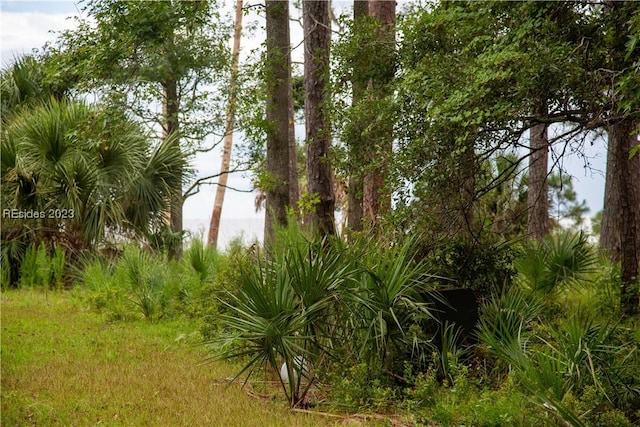 Listing photo 2 for 524 Driftwood Cottage Ln, Daufuskie Island SC 29915