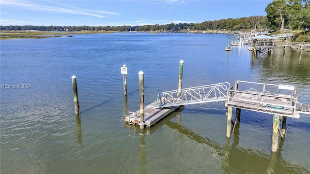 dock area featuring a water view