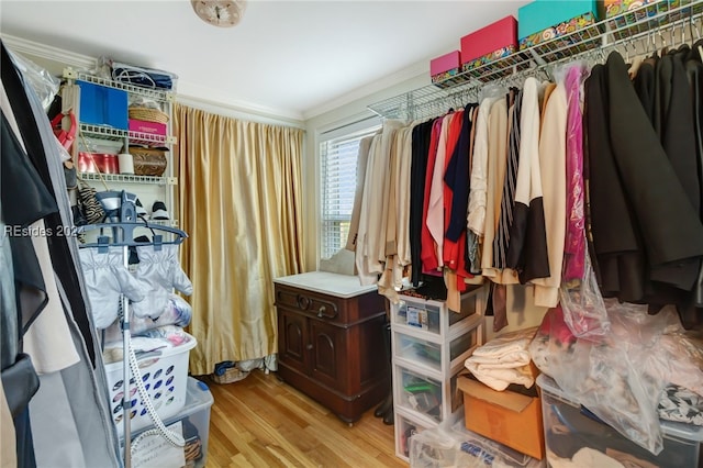 walk in closet with light hardwood / wood-style floors