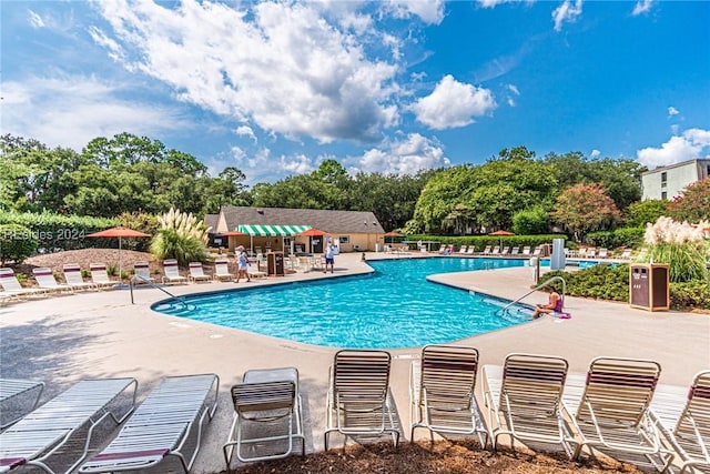 view of swimming pool with a patio