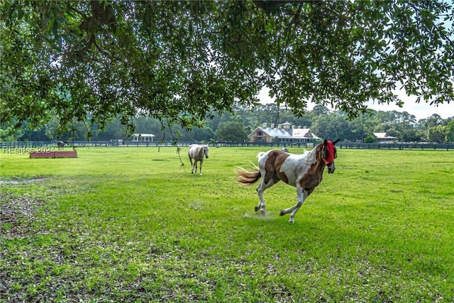 view of property's community with a rural view and a lawn