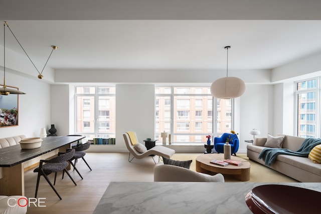 living room with light hardwood / wood-style floors and a healthy amount of sunlight