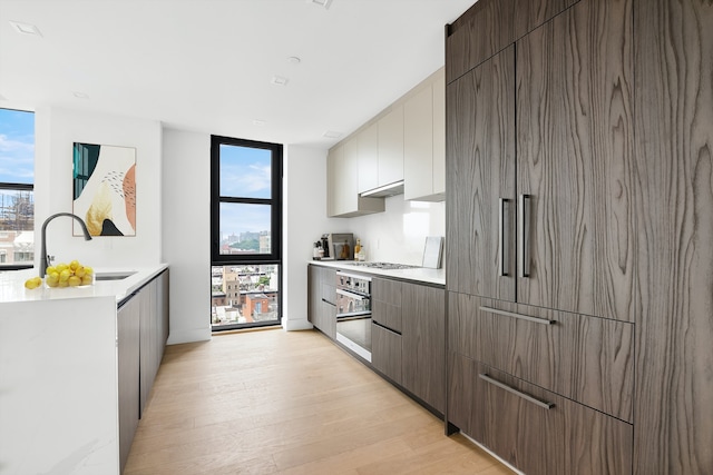 kitchen with a wall of windows, stainless steel appliances, a healthy amount of sunlight, and light hardwood / wood-style flooring