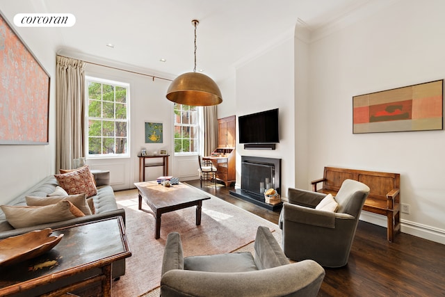 living room featuring crown molding and dark wood-type flooring