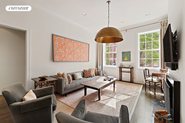 living room featuring crown molding and dark hardwood / wood-style flooring