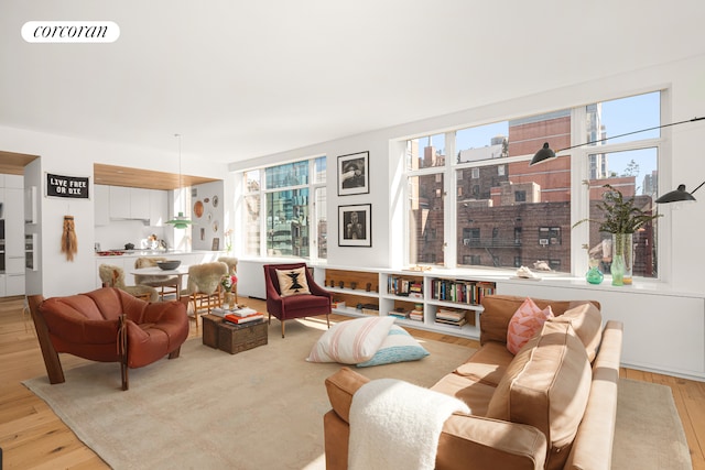 living room featuring light hardwood / wood-style flooring and plenty of natural light