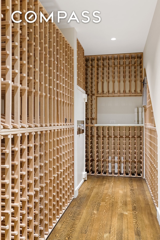 wine cellar with dark hardwood / wood-style flooring