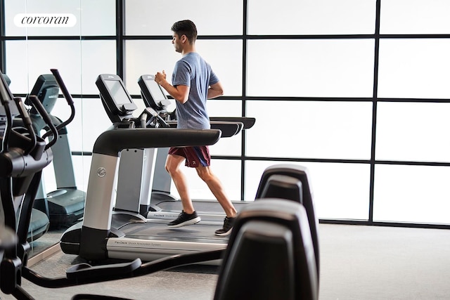 exercise room featuring plenty of natural light and carpet