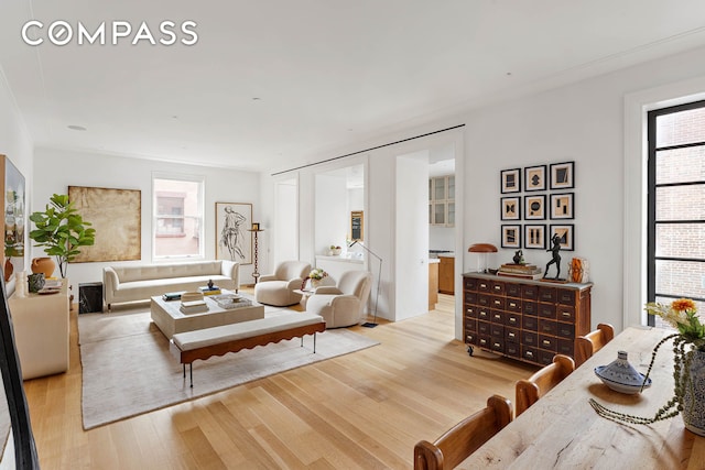 living room featuring light hardwood / wood-style flooring