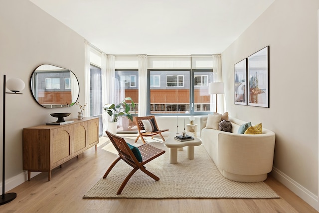 living area with light hardwood / wood-style flooring and a healthy amount of sunlight