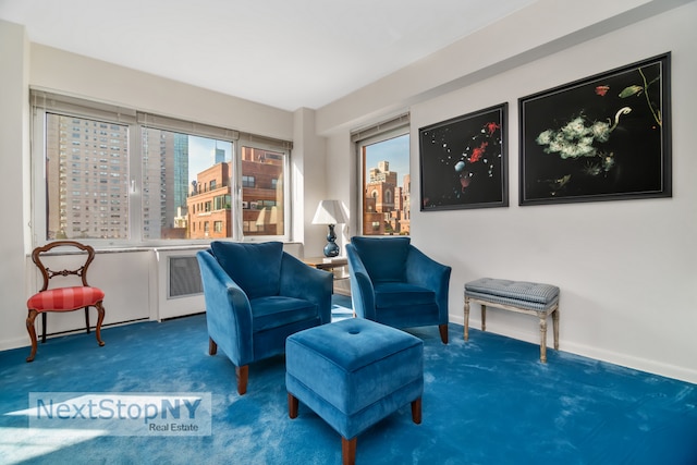 living area featuring a healthy amount of sunlight and carpet flooring