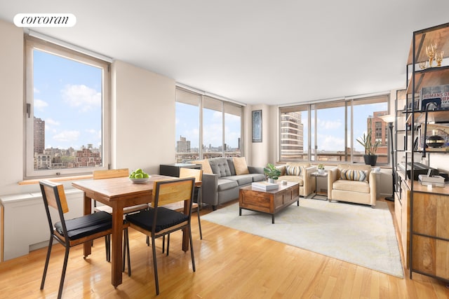 living room featuring light hardwood / wood-style floors and a healthy amount of sunlight